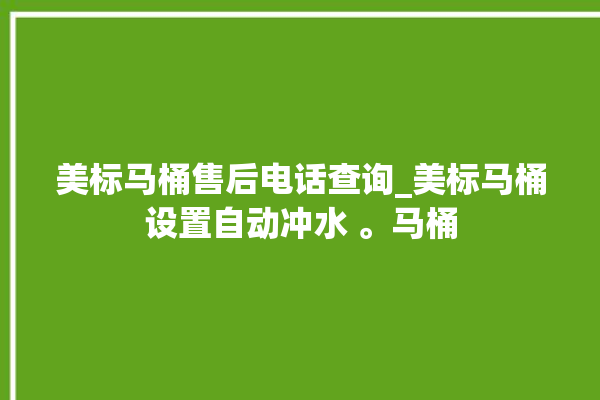 美标马桶售后电话查询_美标马桶设置自动冲水 。马桶