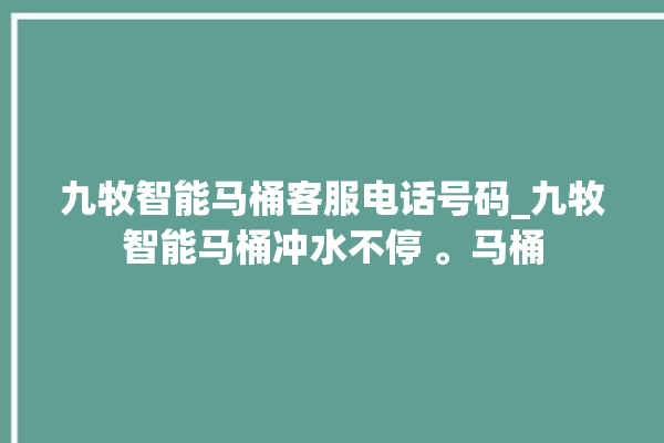 九牧智能马桶客服电话号码_九牧智能马桶冲水不停 。马桶