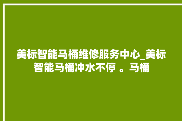 美标智能马桶维修服务中心_美标智能马桶冲水不停 。马桶