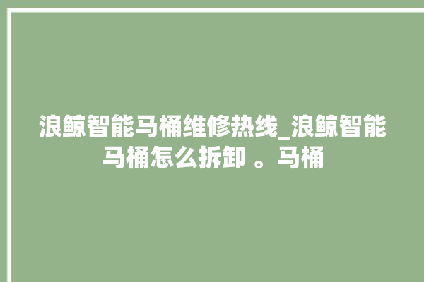 浪鲸智能马桶维修热线_浪鲸智能马桶怎么拆卸 。马桶