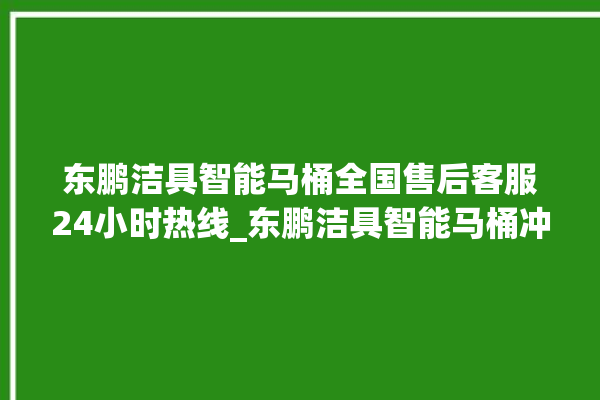 东鹏洁具智能马桶全国售后客服24小时热线_东鹏洁具智能马桶冲水不停 。马桶