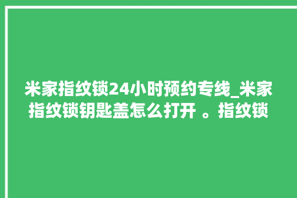 米家指纹锁24小时预约专线_米家指纹锁钥匙盖怎么打开 。指纹锁