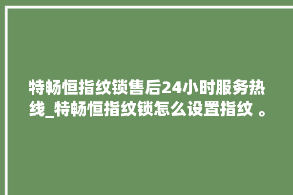 特畅恒指纹锁售后24小时服务热线_特畅恒指纹锁怎么设置指纹 。恒指