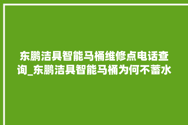 东鹏洁具智能马桶维修点电话查询_东鹏洁具智能马桶为何不蓄水 。马桶