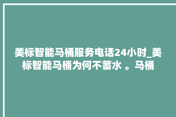 美标智能马桶服务电话24小时_美标智能马桶为何不蓄水 。马桶