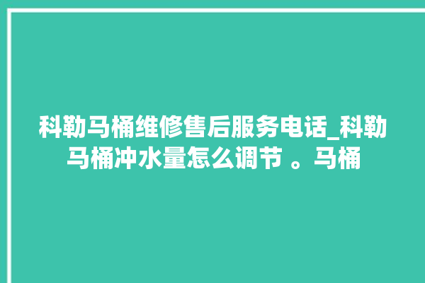 科勒马桶维修售后服务电话_科勒马桶冲水量怎么调节 。马桶