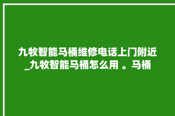 九牧智能马桶维修电话上门附近_九牧智能马桶怎么用 。马桶