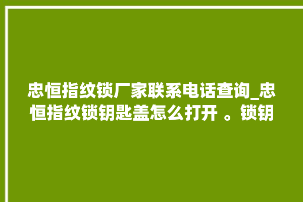 忠恒指纹锁厂家联系电话查询_忠恒指纹锁钥匙盖怎么打开 。锁钥