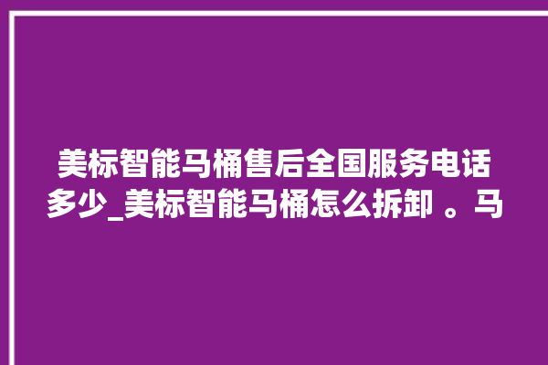 美标智能马桶售后全国服务电话多少_美标智能马桶怎么拆卸 。马桶