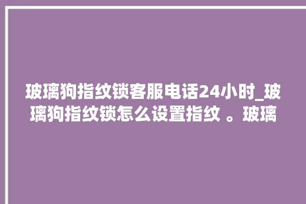 玻璃狗指纹锁客服电话24小时_玻璃狗指纹锁怎么设置指纹 。玻璃