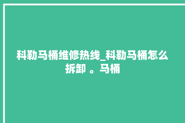 科勒马桶维修热线_科勒马桶怎么拆卸 。马桶