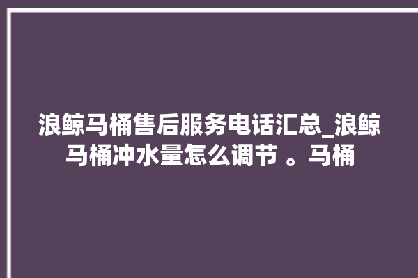 浪鲸马桶售后服务电话汇总_浪鲸马桶冲水量怎么调节 。马桶