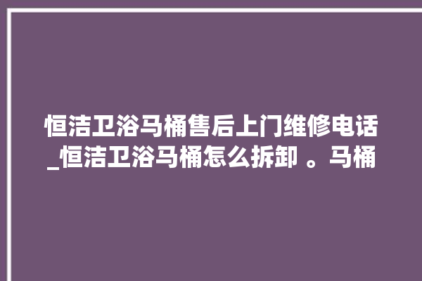 恒洁卫浴马桶售后上门维修电话_恒洁卫浴马桶怎么拆卸 。马桶