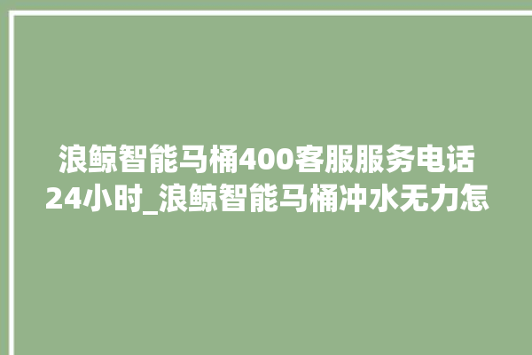 浪鲸智能马桶400客服服务电话24小时_浪鲸智能马桶冲水无力怎么解决 。马桶