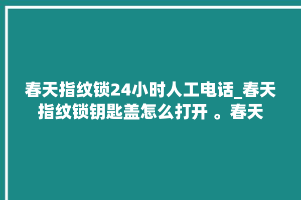 春天指纹锁24小时人工电话_春天指纹锁钥匙盖怎么打开 。春天