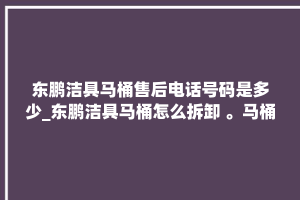 东鹏洁具马桶售后电话号码是多少_东鹏洁具马桶怎么拆卸 。马桶