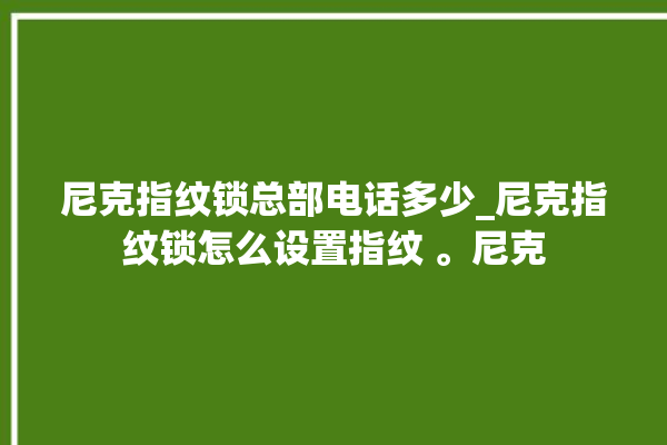 尼克指纹锁总部电话多少_尼克指纹锁怎么设置指纹 。尼克