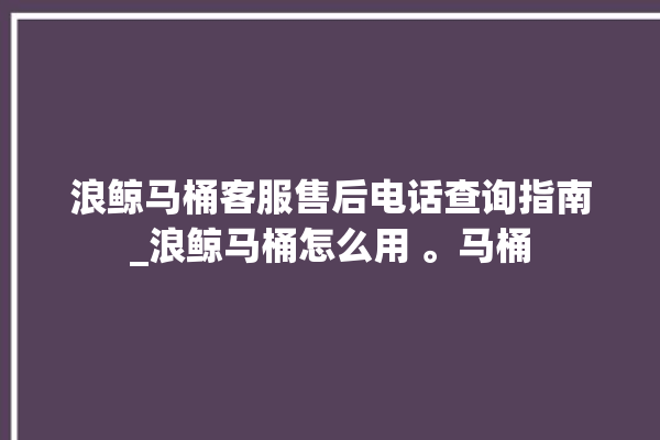 浪鲸马桶客服售后电话查询指南_浪鲸马桶怎么用 。马桶