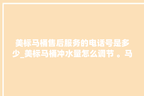 美标马桶售后服务的电话号是多少_美标马桶冲水量怎么调节 。马桶