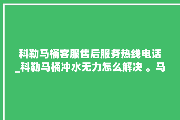 科勒马桶客服售后服务热线电话_科勒马桶冲水无力怎么解决 。马桶