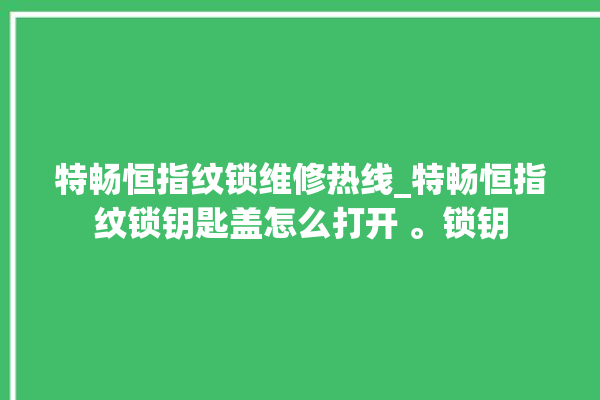 特畅恒指纹锁维修热线_特畅恒指纹锁钥匙盖怎么打开 。锁钥