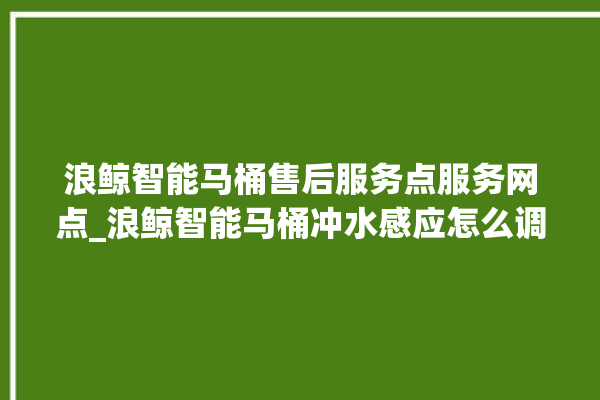 浪鲸智能马桶售后服务点服务网点_浪鲸智能马桶冲水感应怎么调 。马桶