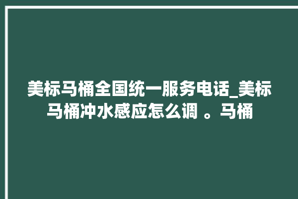 美标马桶全国统一服务电话_美标马桶冲水感应怎么调 。马桶