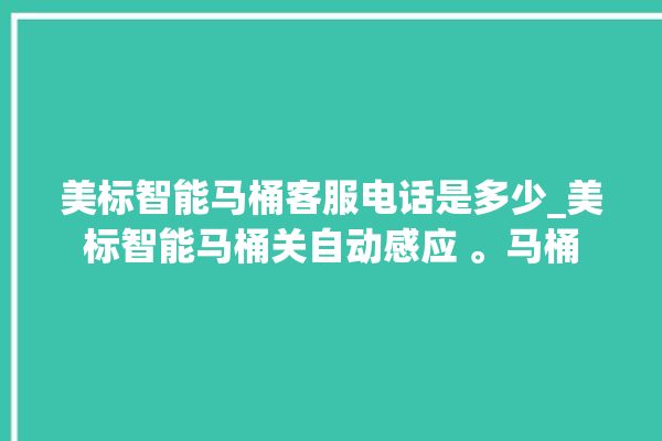 美标智能马桶客服电话是多少_美标智能马桶关自动感应 。马桶