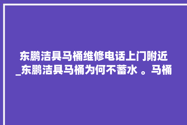 东鹏洁具马桶维修电话上门附近_东鹏洁具马桶为何不蓄水 。马桶