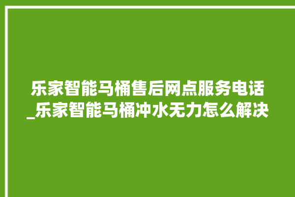 乐家智能马桶售后网点服务电话_乐家智能马桶冲水无力怎么解决 。马桶