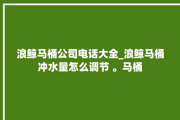 浪鲸马桶公司电话大全_浪鲸马桶冲水量怎么调节 。马桶