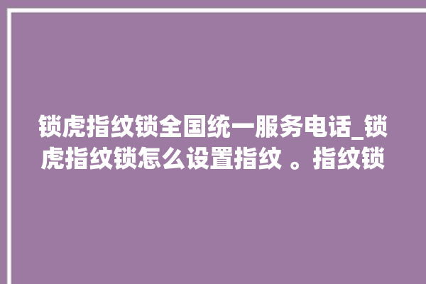 锁虎指纹锁全国统一服务电话_锁虎指纹锁怎么设置指纹 。指纹锁