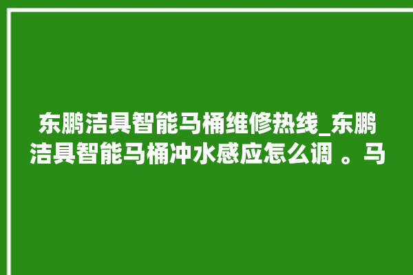 东鹏洁具智能马桶维修热线_东鹏洁具智能马桶冲水感应怎么调 。马桶