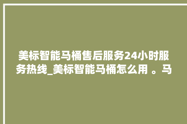 美标智能马桶售后服务24小时服务热线_美标智能马桶怎么用 。马桶