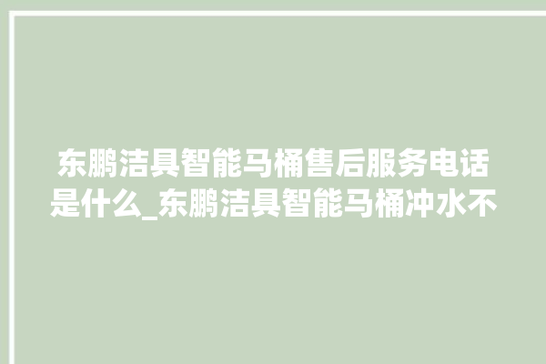 东鹏洁具智能马桶售后服务电话是什么_东鹏洁具智能马桶冲水不停 。马桶