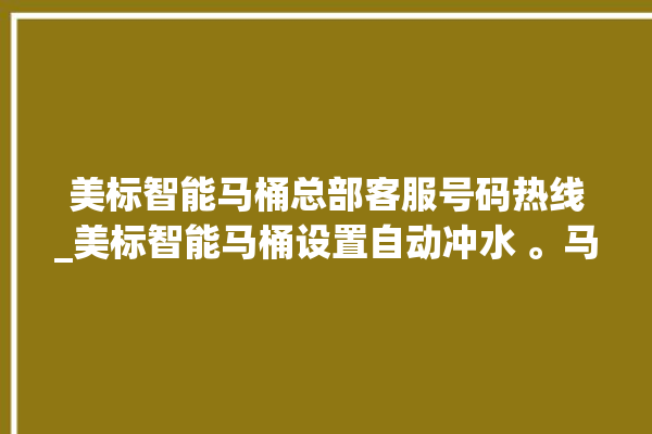 美标智能马桶总部客服号码热线_美标智能马桶设置自动冲水 。马桶