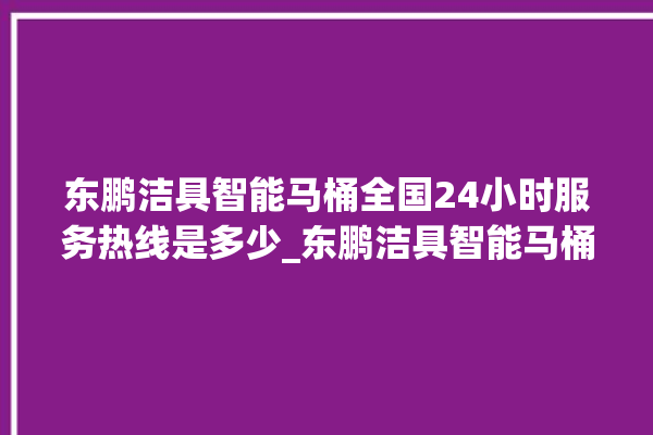 东鹏洁具智能马桶全国24小时服务热线是多少_东鹏洁具智能马桶遥控器说明书 。马桶