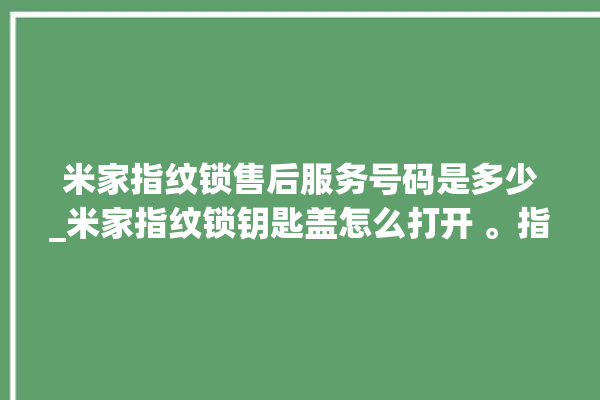 米家指纹锁售后服务号码是多少_米家指纹锁钥匙盖怎么打开 。指纹锁