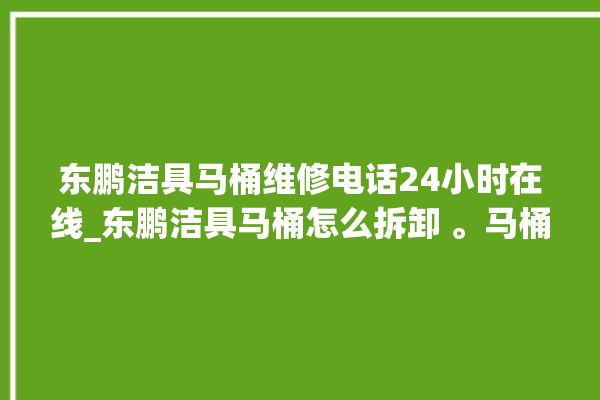 东鹏洁具马桶维修电话24小时在线_东鹏洁具马桶怎么拆卸 。马桶