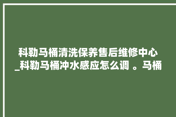 科勒马桶清洗保养售后维修中心_科勒马桶冲水感应怎么调 。马桶