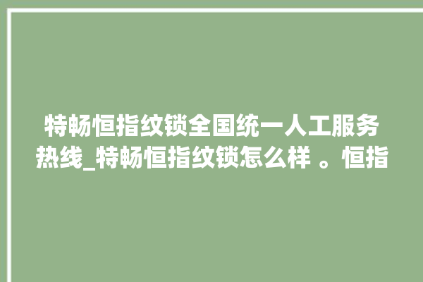 特畅恒指纹锁全国统一人工服务热线_特畅恒指纹锁怎么样 。恒指