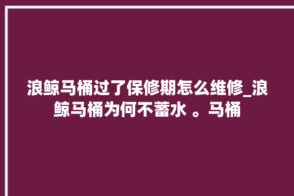 浪鲸马桶过了保修期怎么维修_浪鲸马桶为何不蓄水 。马桶