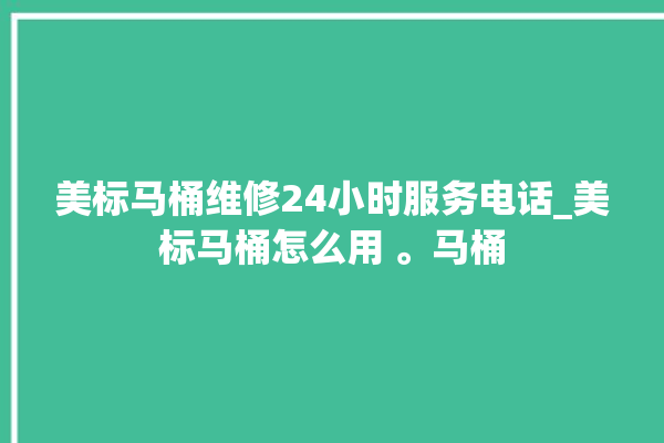 美标马桶维修24小时服务电话_美标马桶怎么用 。马桶