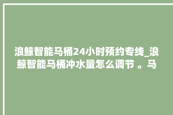 浪鲸智能马桶24小时预约专线_浪鲸智能马桶冲水量怎么调节 。马桶