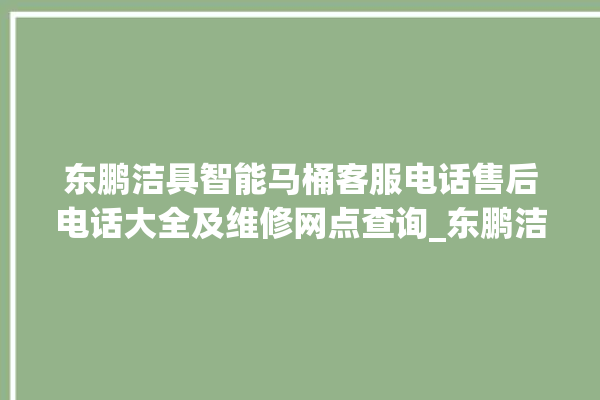 东鹏洁具智能马桶客服电话售后电话大全及维修网点查询_东鹏洁具智能马桶冲水不停 。马桶