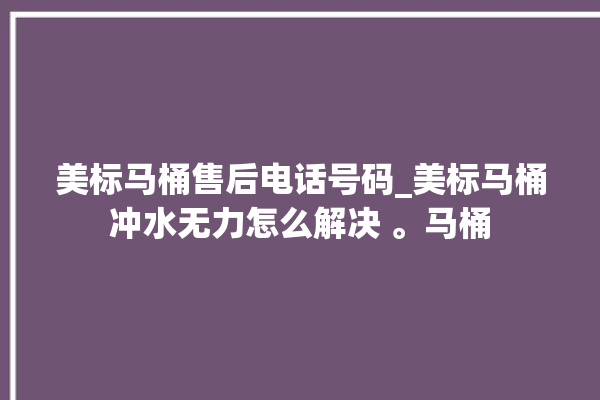 美标马桶售后电话号码_美标马桶冲水无力怎么解决 。马桶