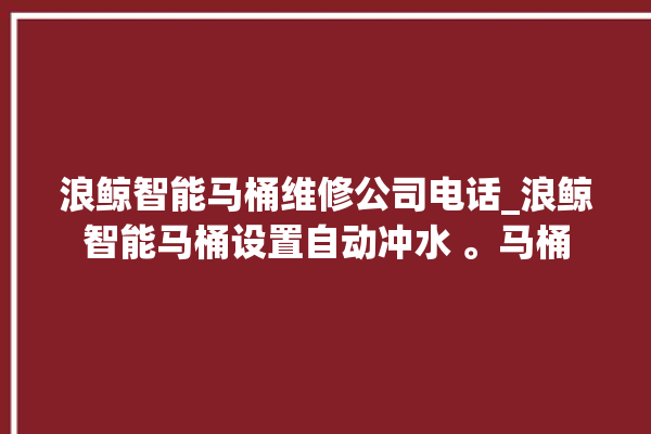 浪鲸智能马桶维修公司电话_浪鲸智能马桶设置自动冲水 。马桶