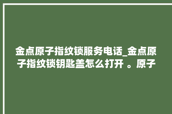 金点原子指纹锁服务电话_金点原子指纹锁钥匙盖怎么打开 。原子