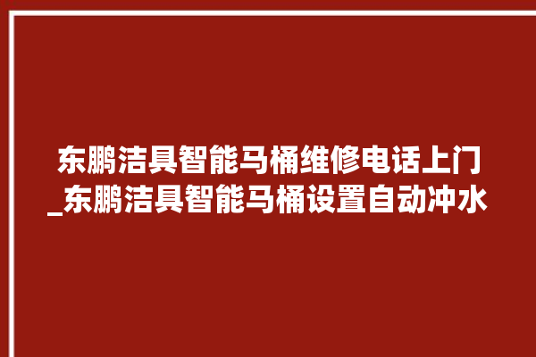 东鹏洁具智能马桶维修电话上门_东鹏洁具智能马桶设置自动冲水 。马桶