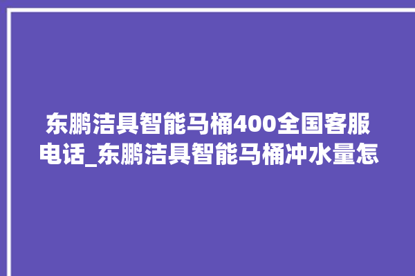 东鹏洁具智能马桶400全国客服电话_东鹏洁具智能马桶冲水量怎么调节 。马桶